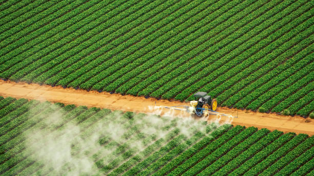 Best Ant Control Services  in Valley Green, PA