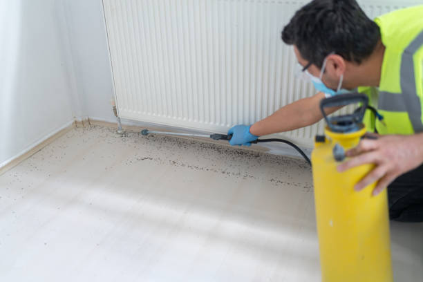 Best Insect Control  in Valley Green, PA
